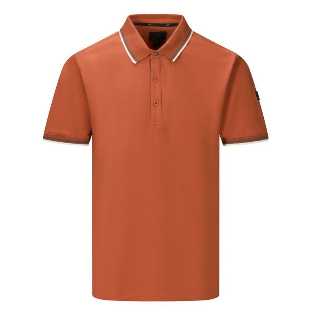 Regatta Mens Adryan Polo Shirt / Brick